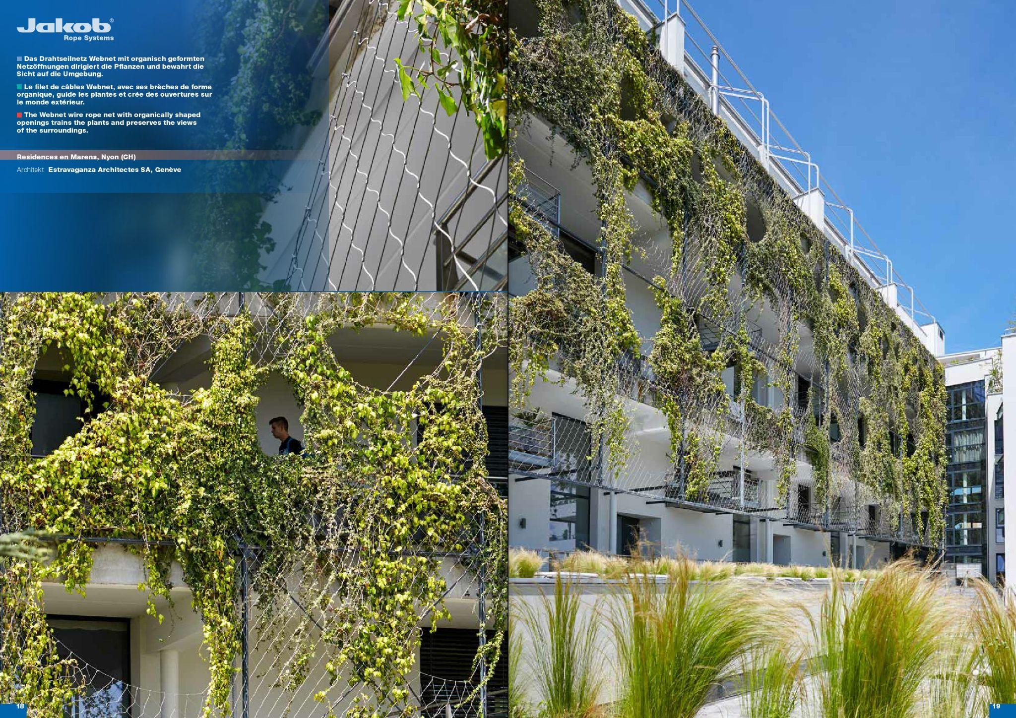 Green facade supported by stainless steel wire systems