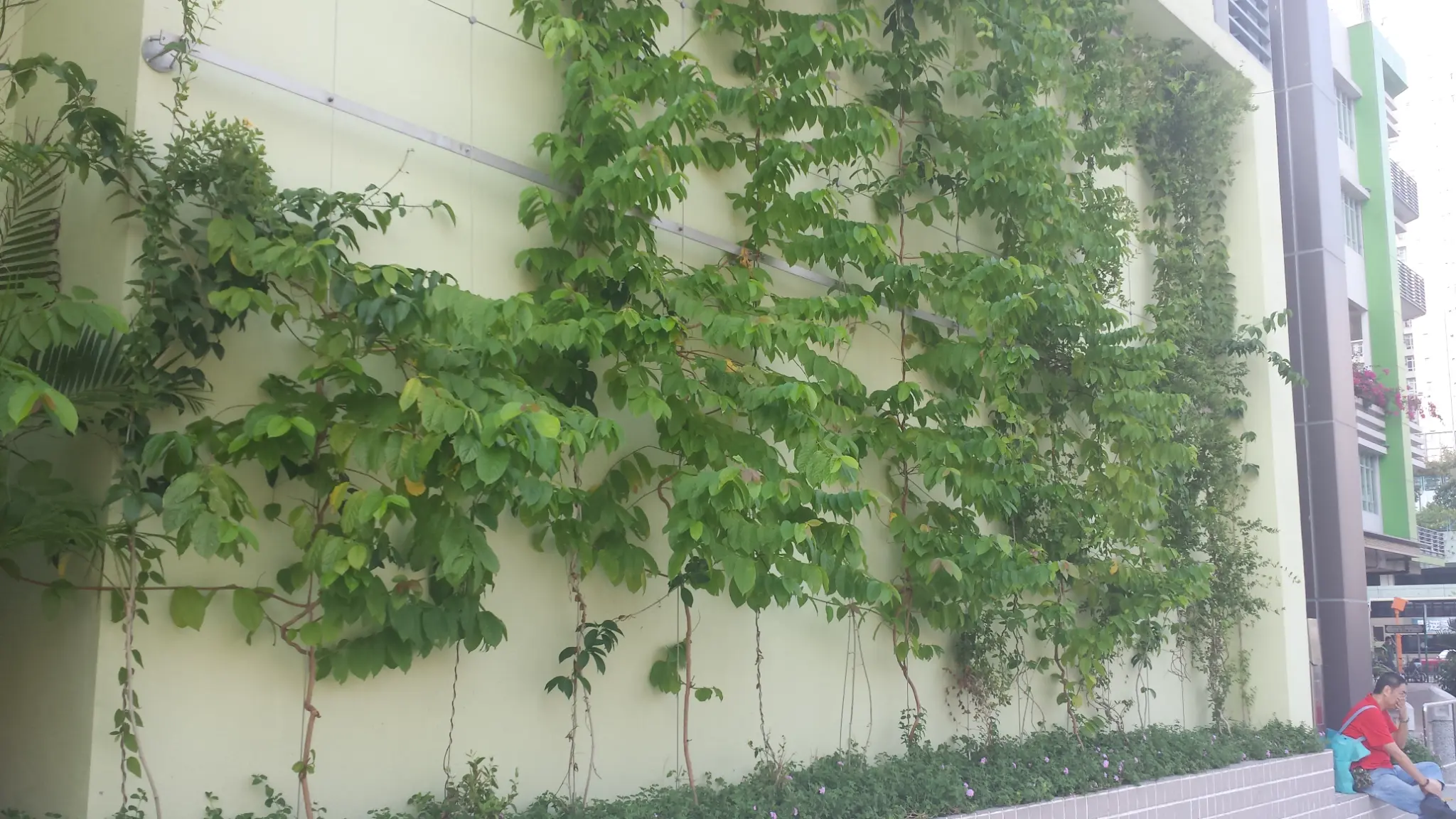Cheung Sha Wan Estate Green Wall Photo 5
