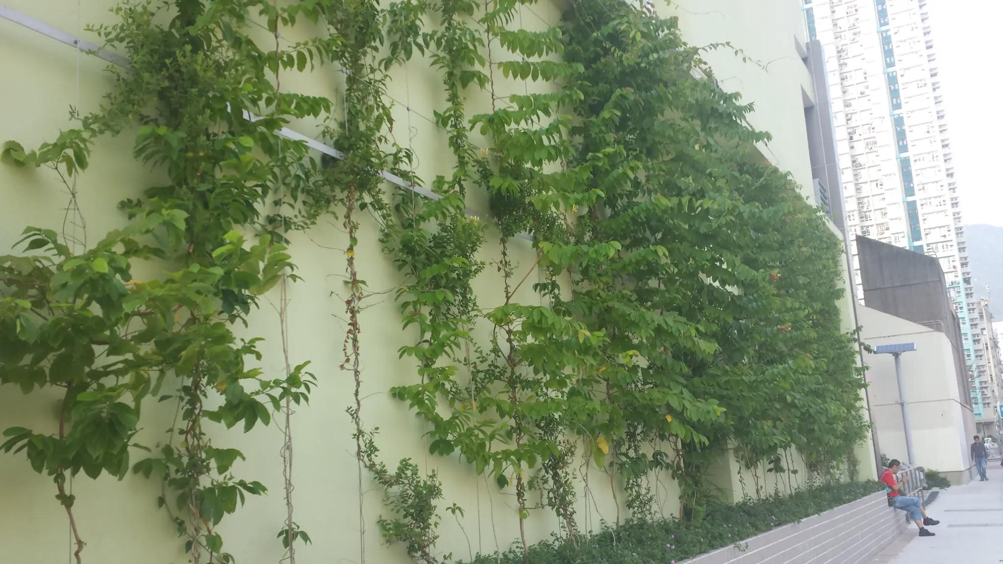 Cheung Sha Wan Estate Green Wall Photo 6
