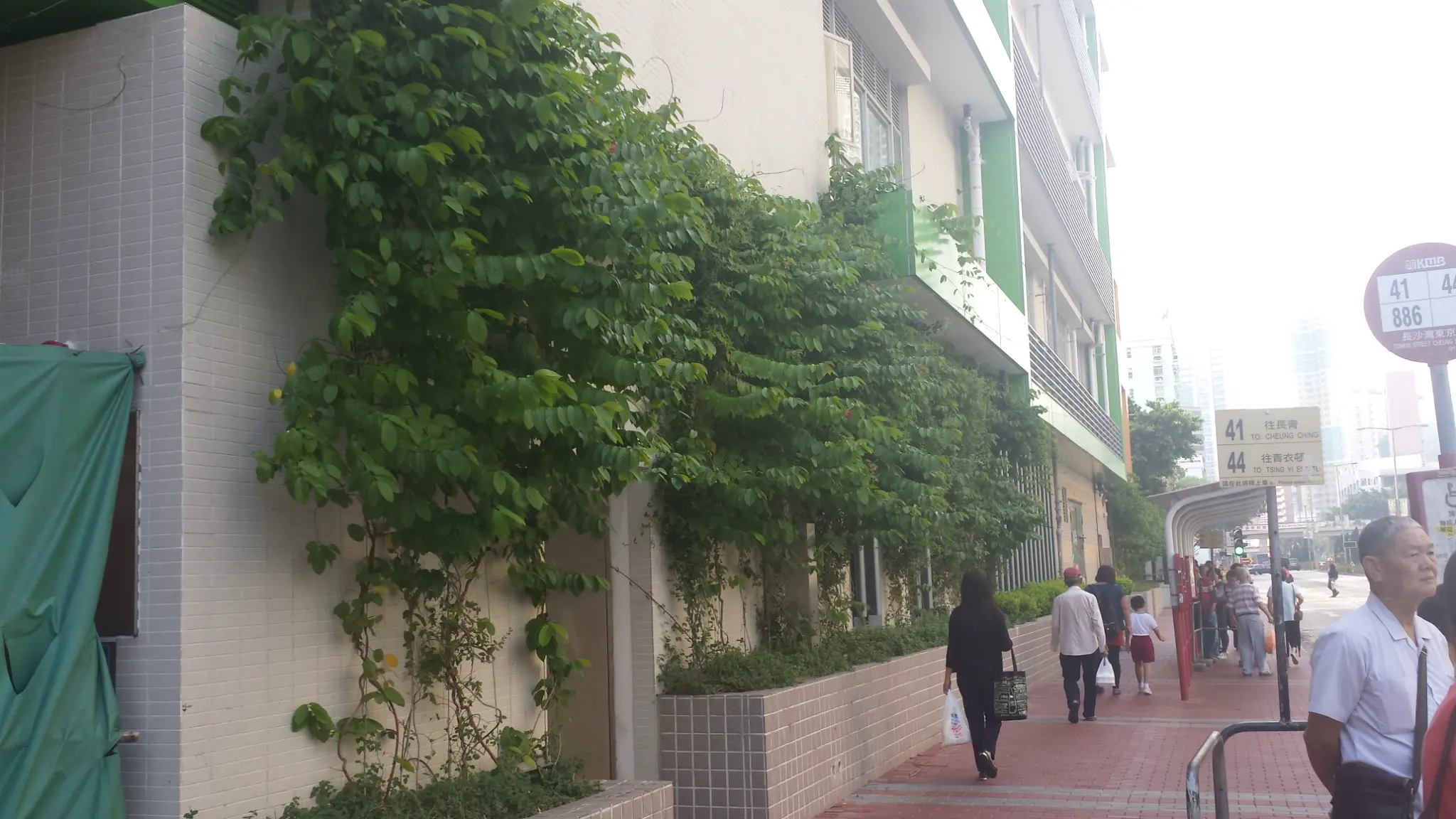 Cheung Sha Wan Estate Green Wall Photo 8