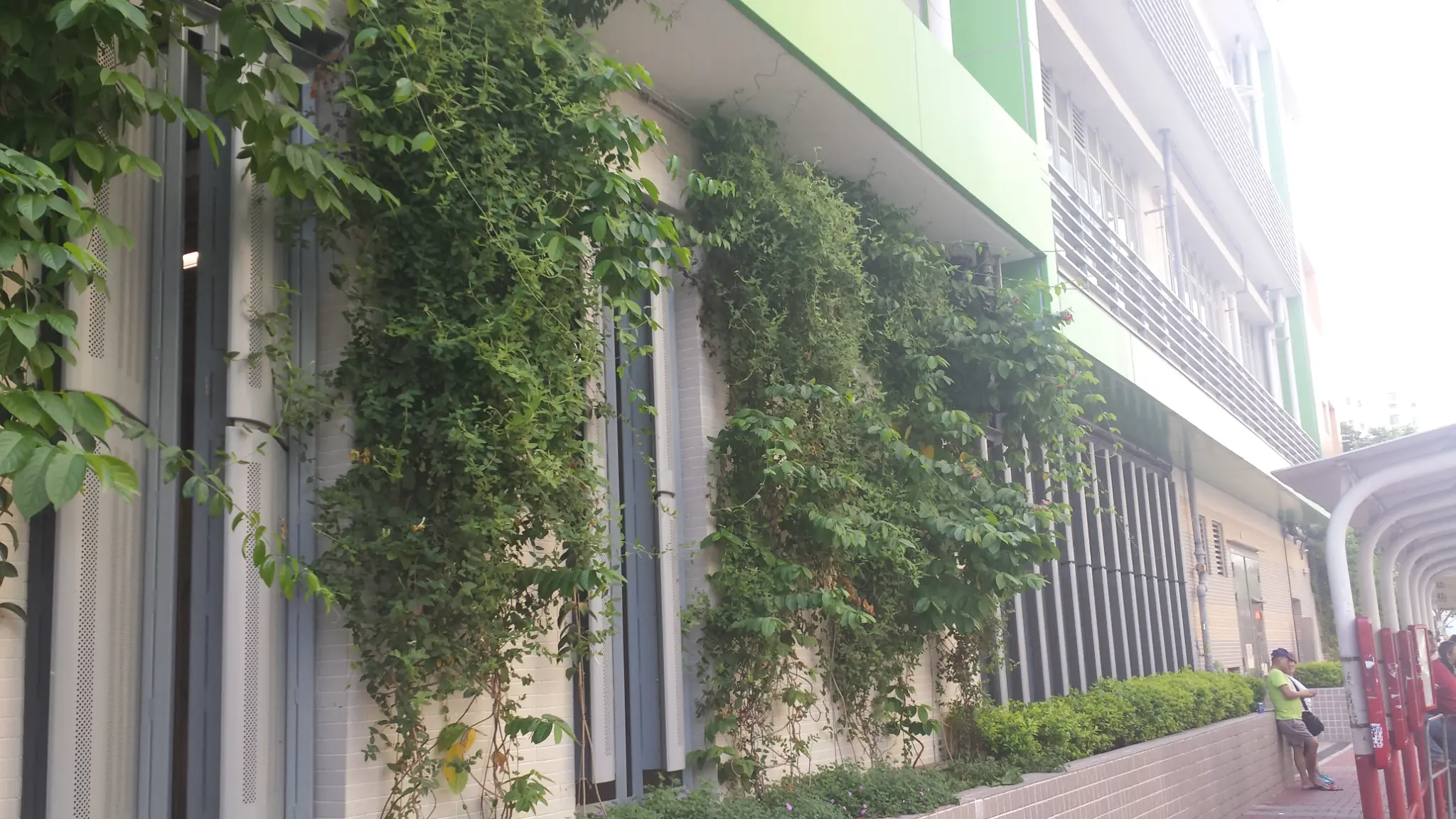 Cheung Sha Wan Estate Green Wall Photo 10