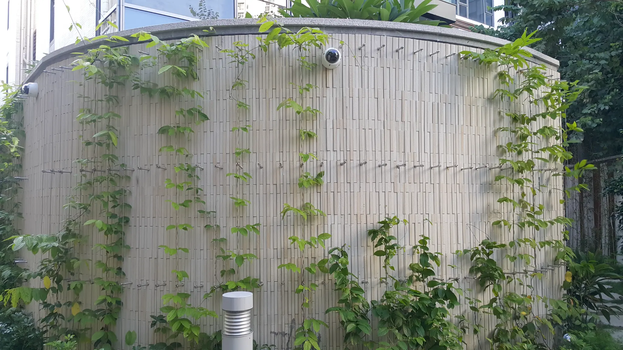 Inverness Road Kowloon Photo 3