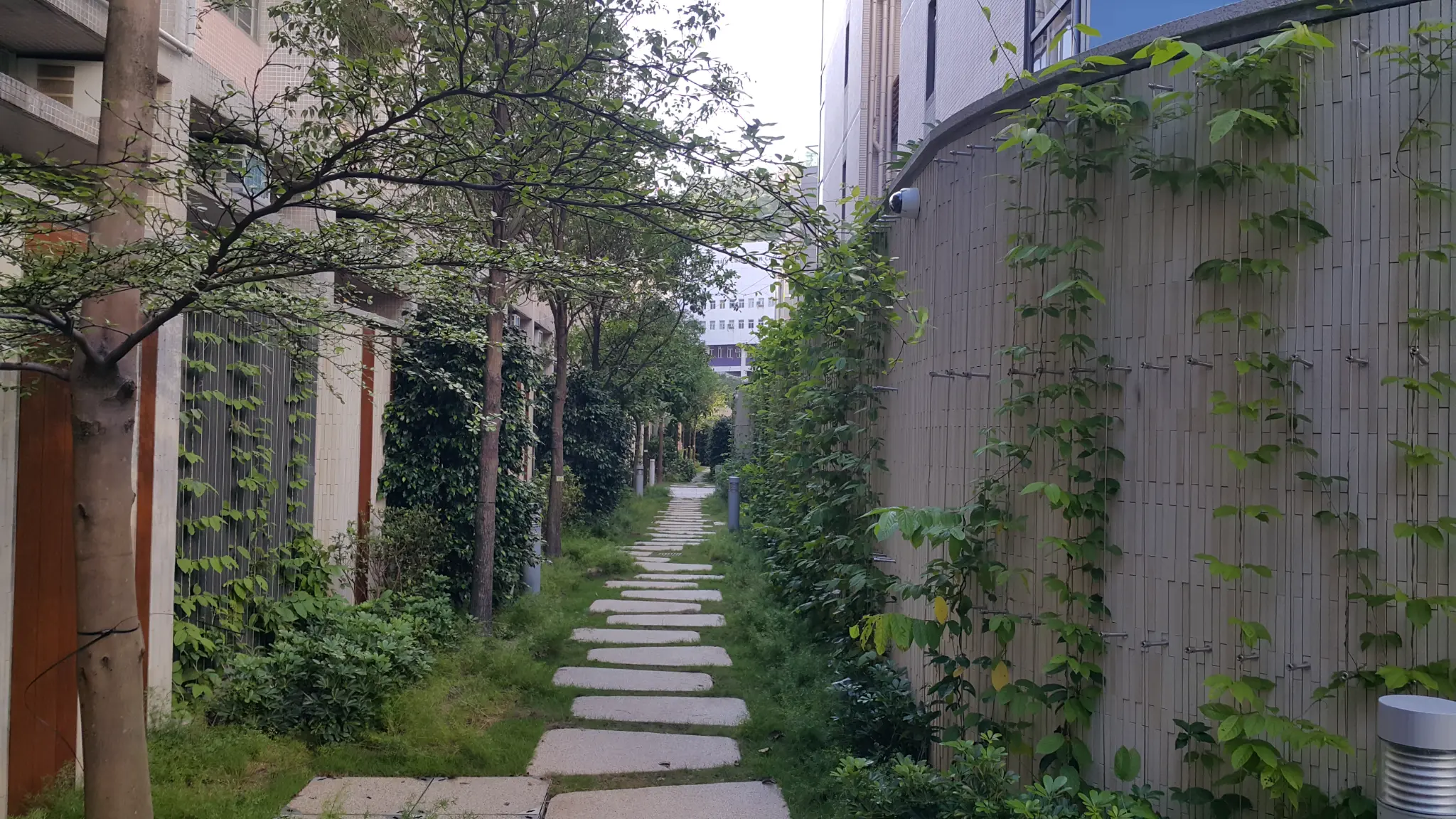 Inverness Road Kowloon Photo 4