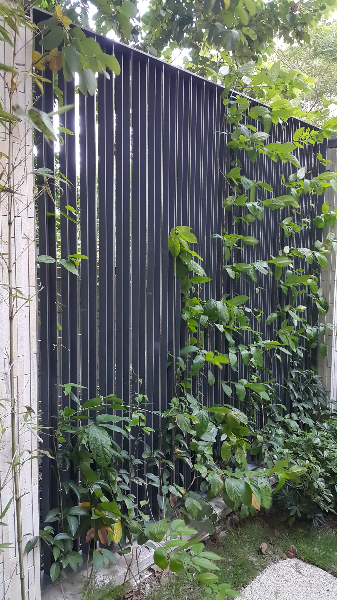 Inverness Road Kowloon Photo 5