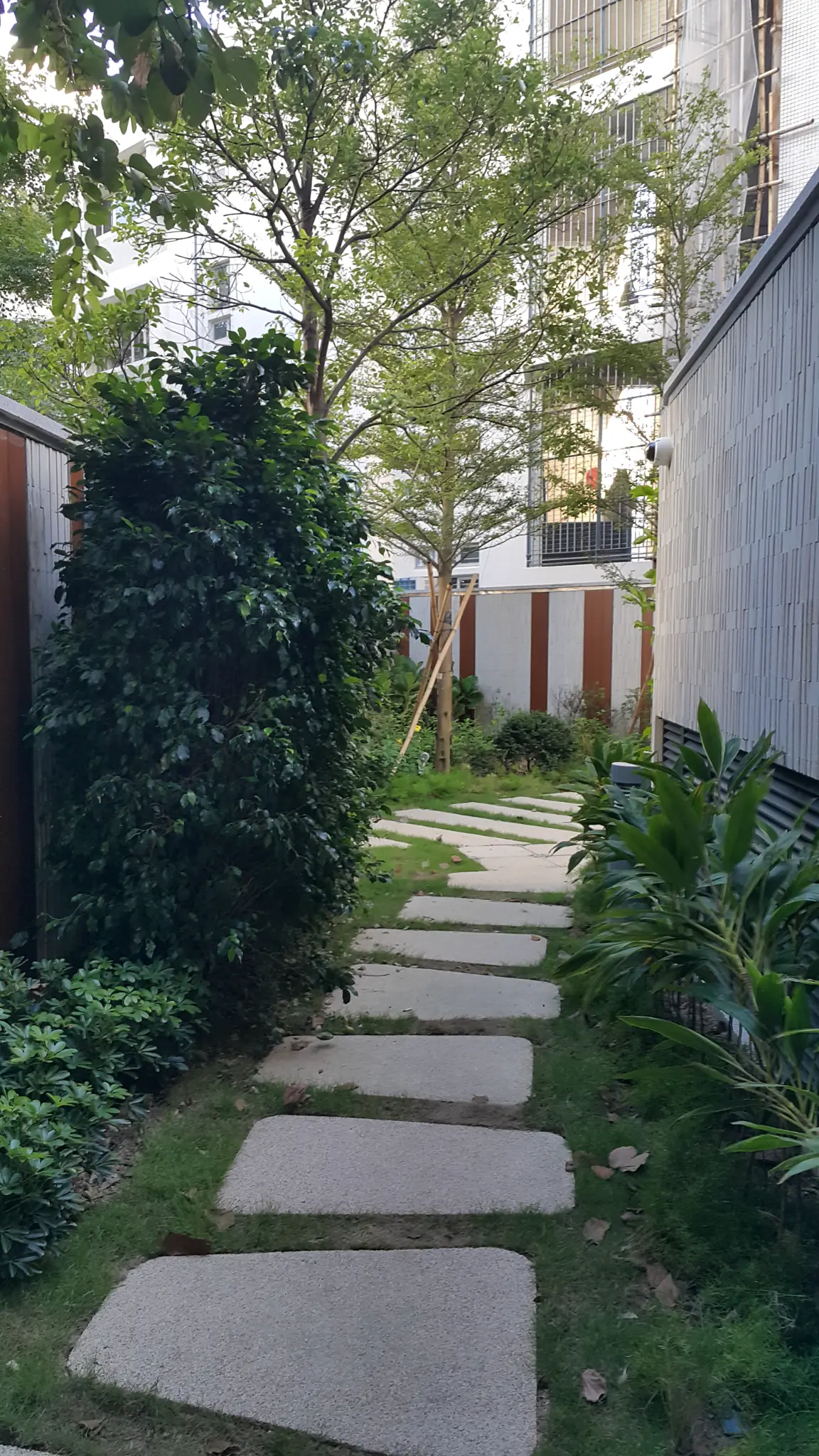 Inverness Road Kowloon Photo 9