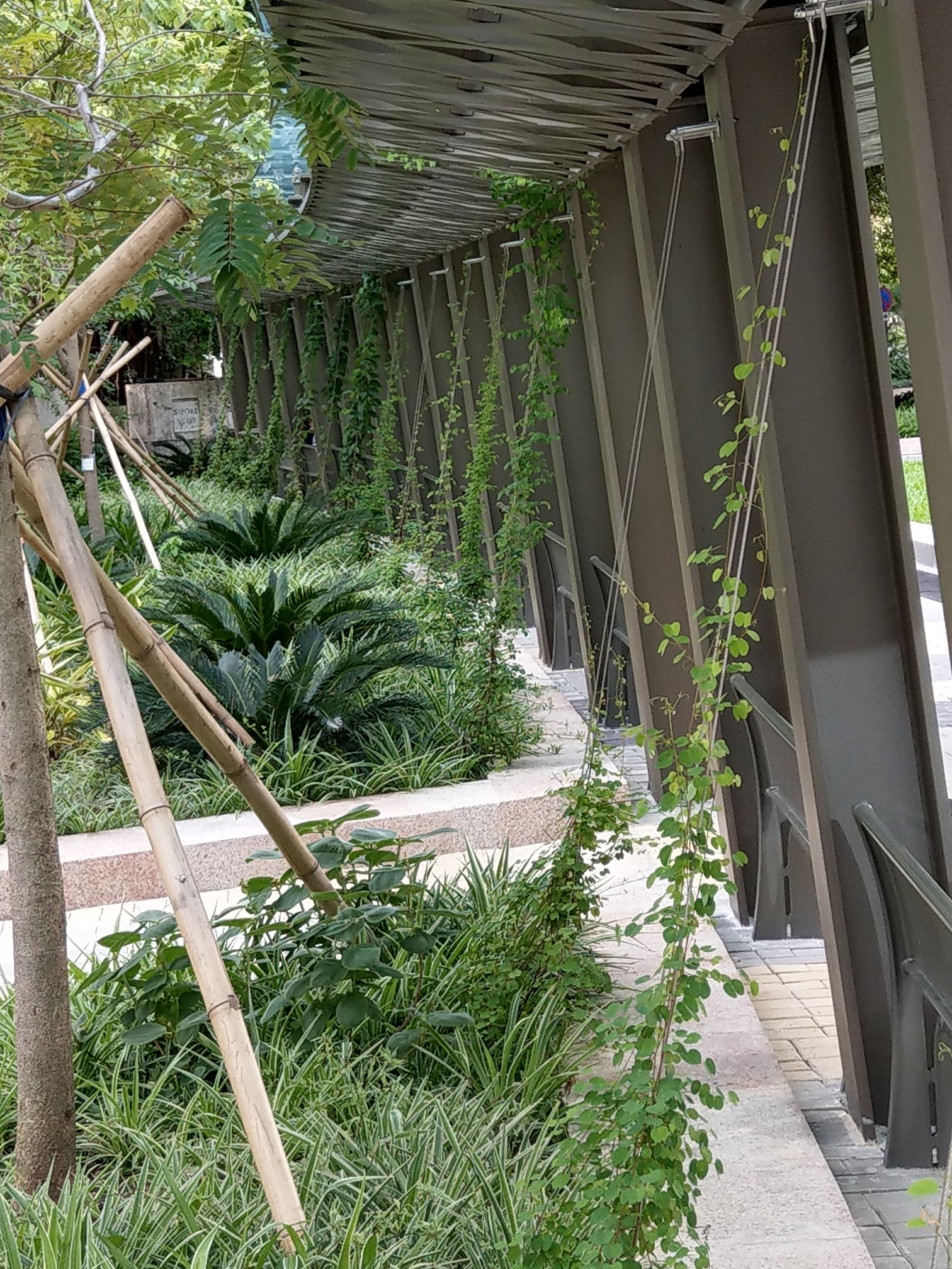 MTR914 Harcourt Road Garden