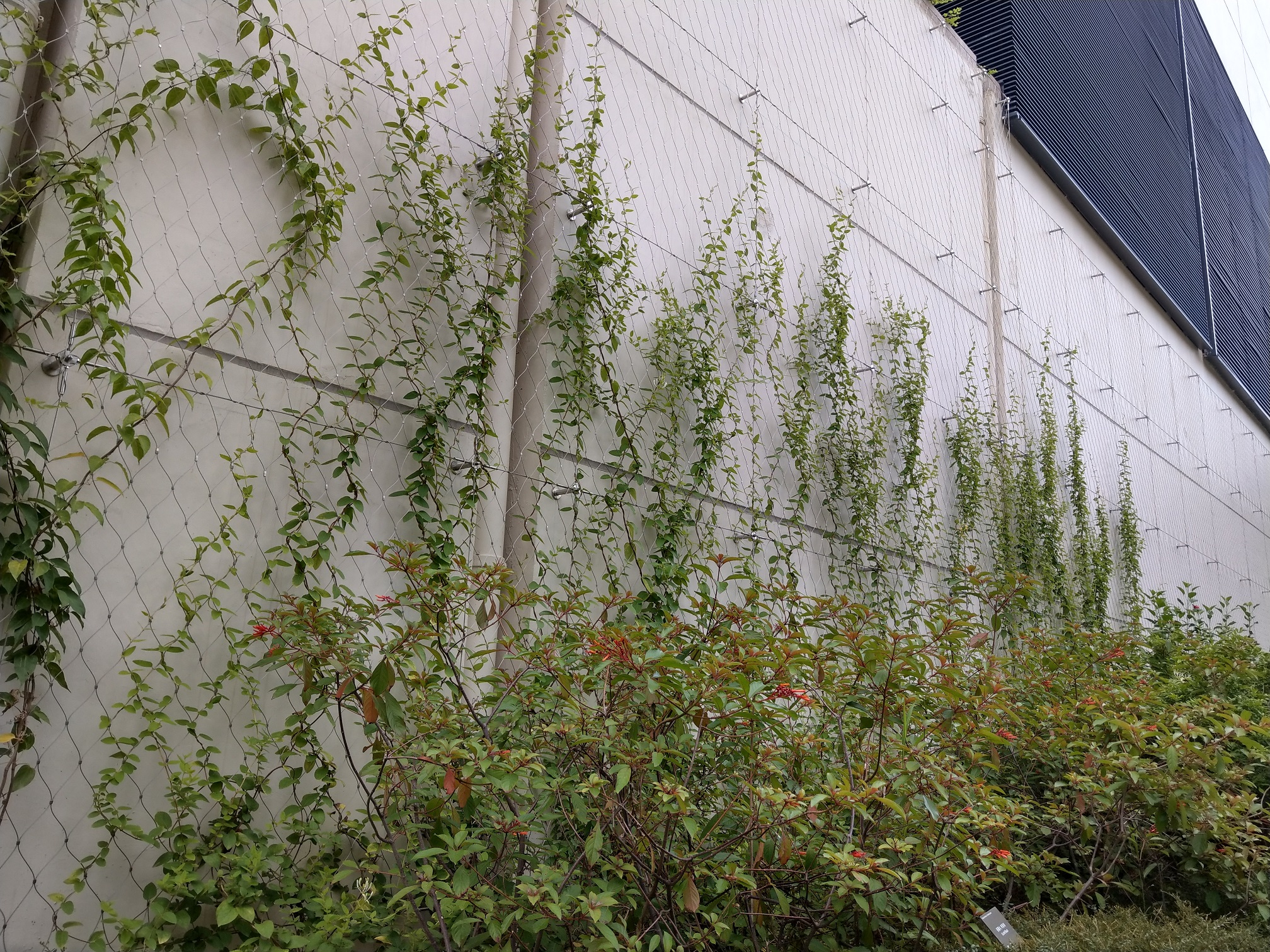 MTR914 Harcourt Road Garden Photo 2
