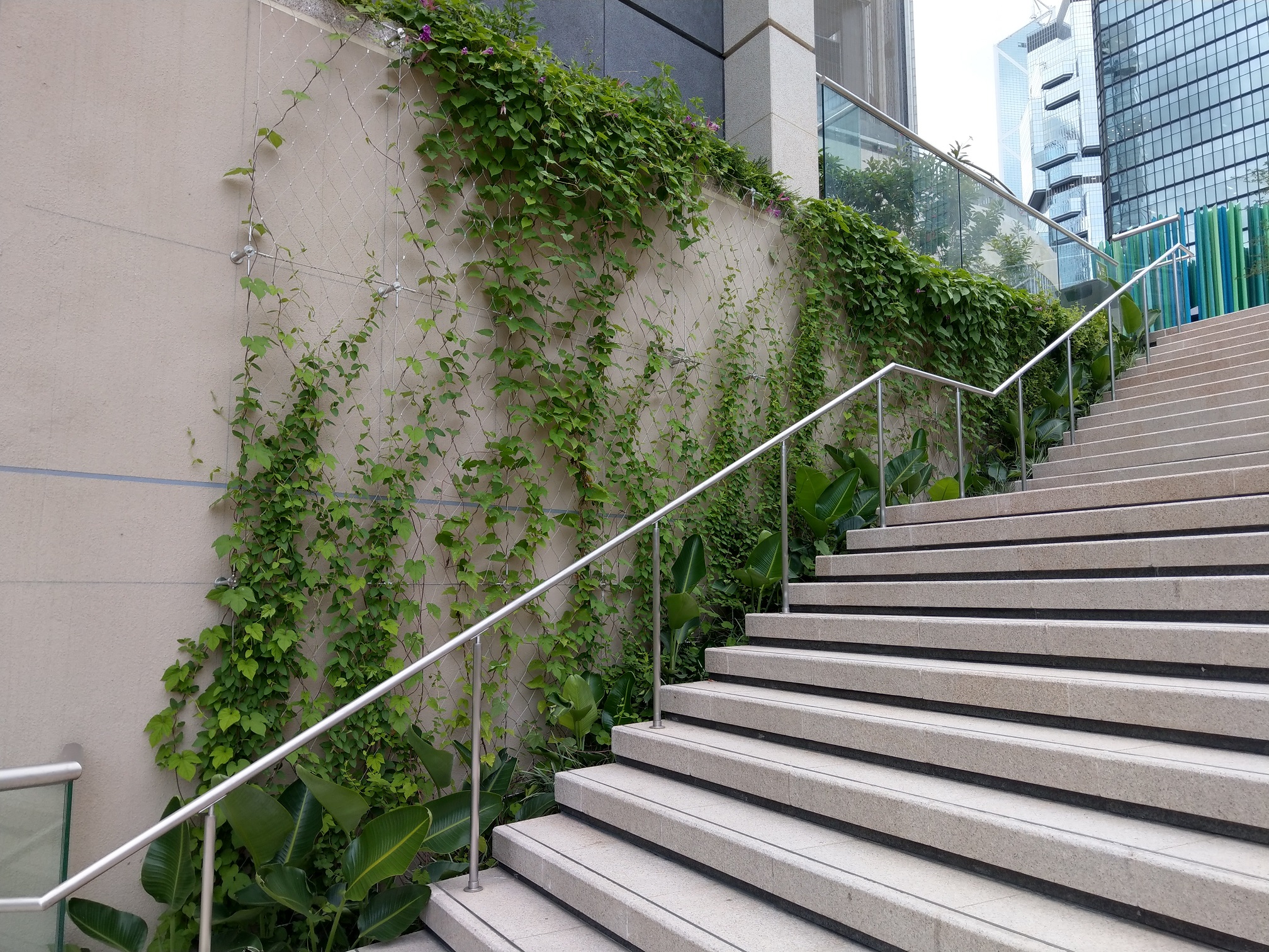 MTR914 Harcourt Road Garden Photo 6