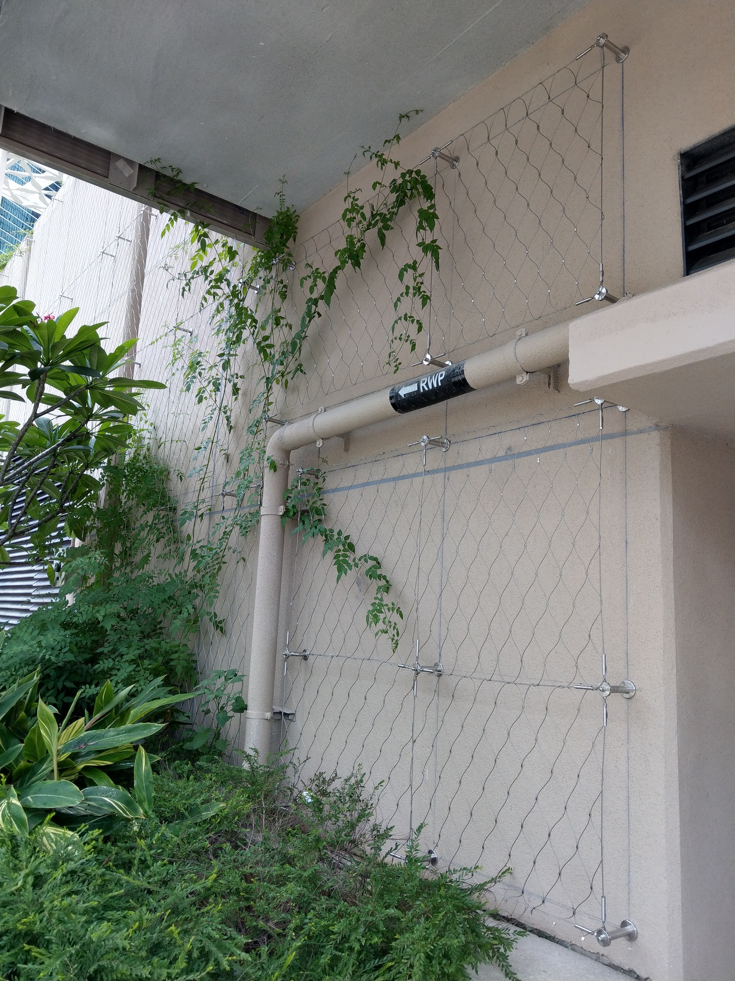MTR914 Harcourt Road Garden Photo 9