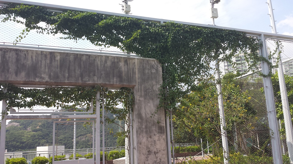 Sau Ming Road Park Photo 3