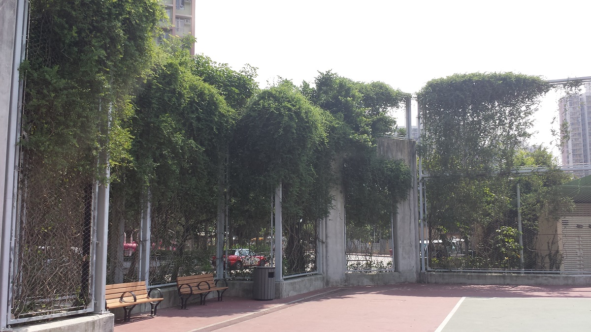 Sau Ming Road Park Photo 7