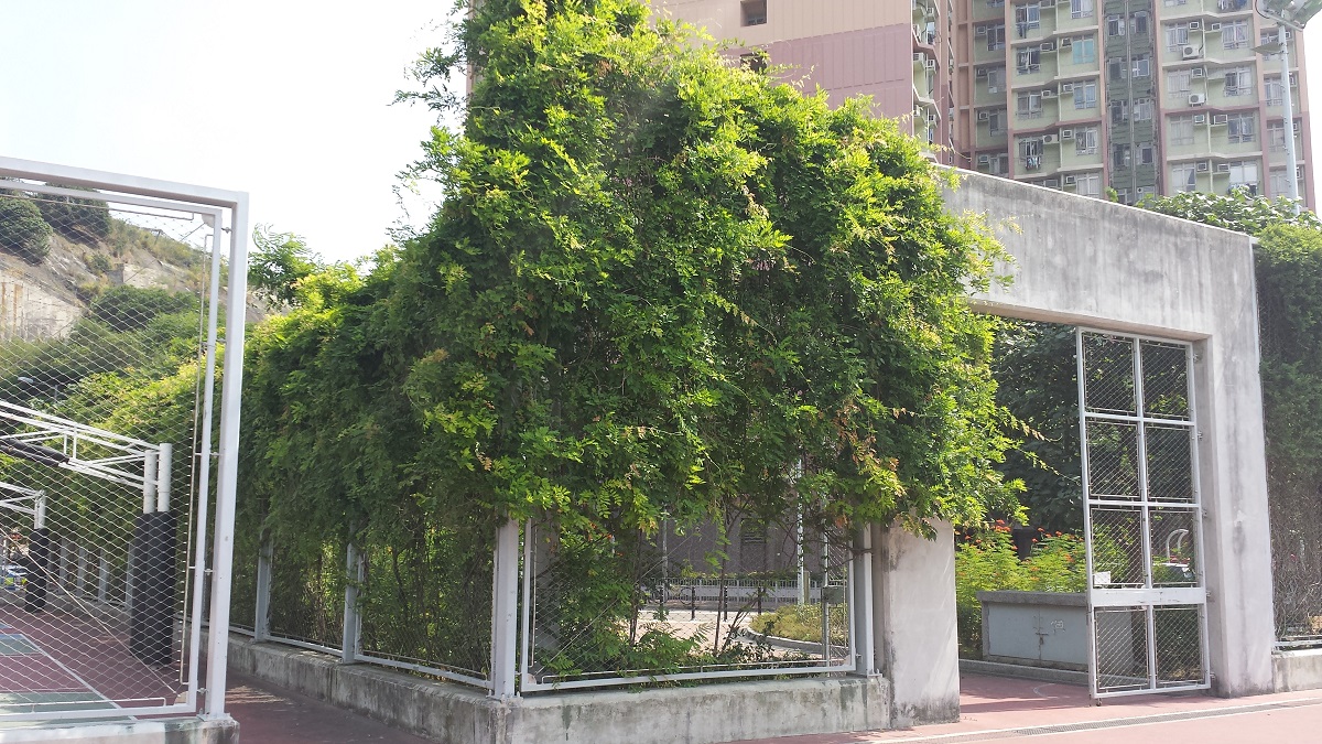 Sau Ming Road Park Photo 8