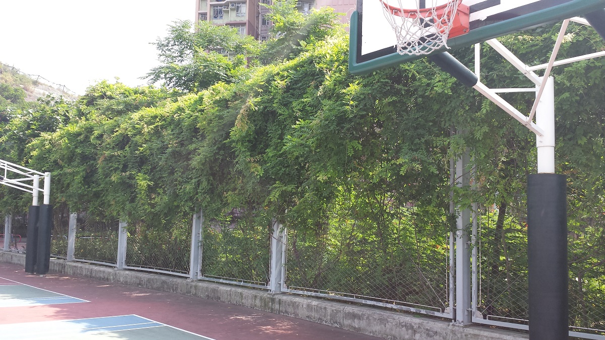 Sau Ming Road Park Photo 9