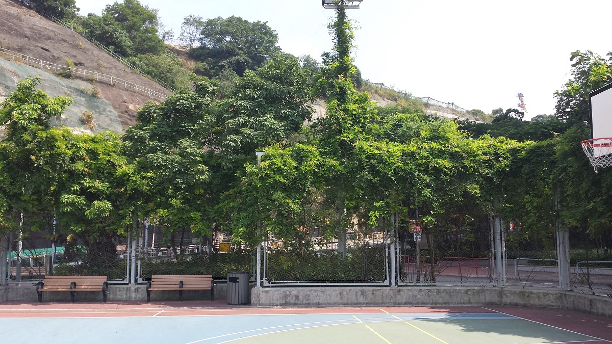 Sau Ming Road Park Photo 10