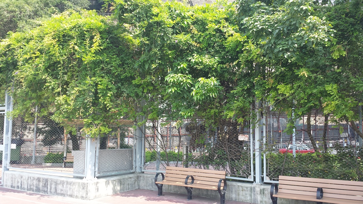 Sau Ming Road Park Photo 11