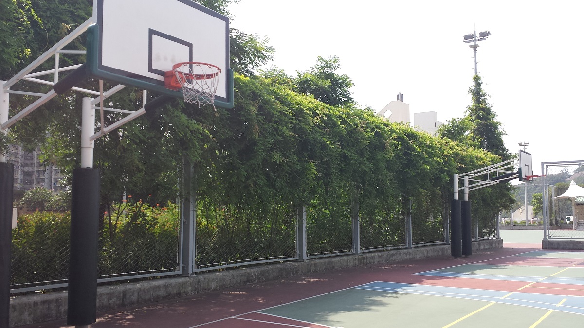 Sau Ming Road Park Photo 12