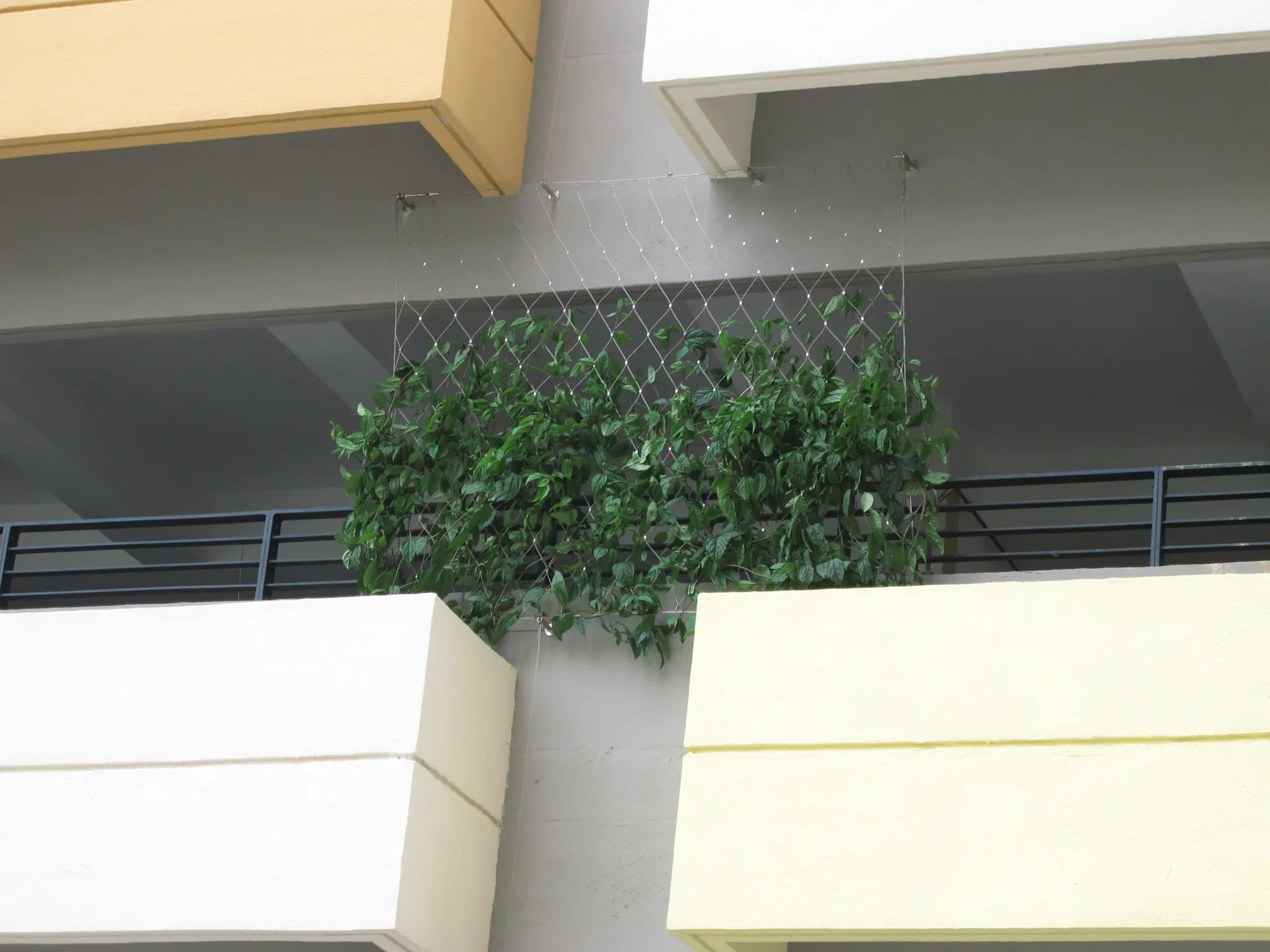 Shatin 4C Green Wall Photo 2