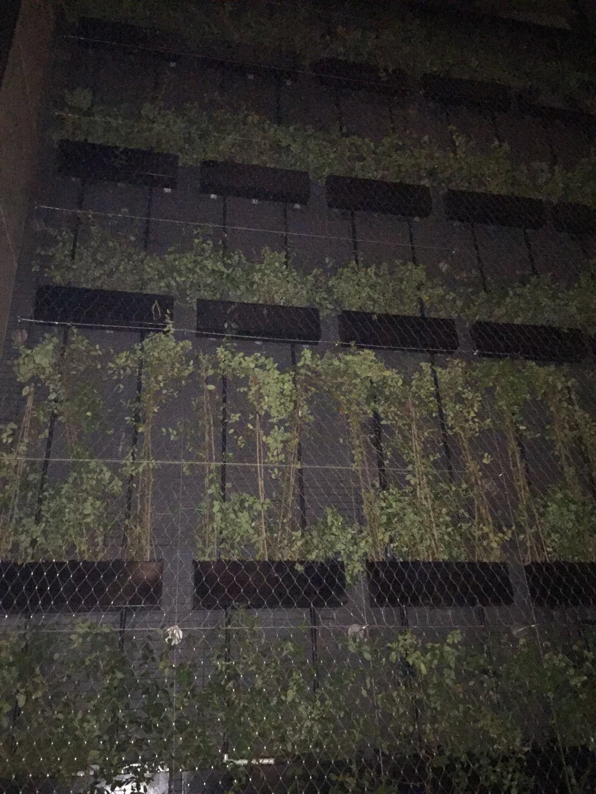 天后新東方臺 Photo 2