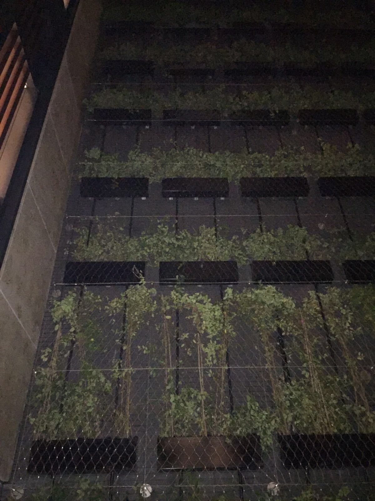 天后新東方臺 Photo 3