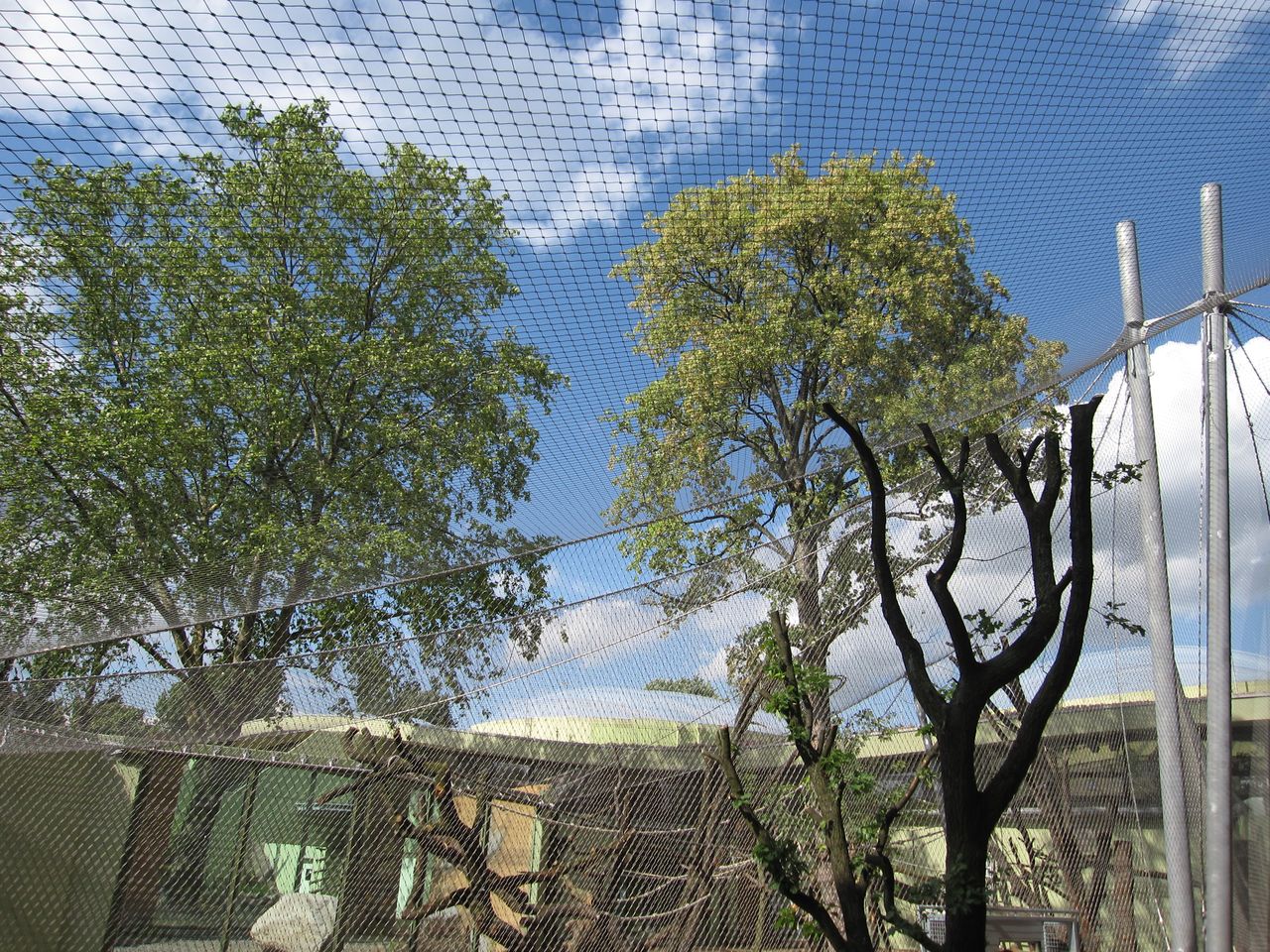 Webnet Zoo - Frankfurt Photo 2