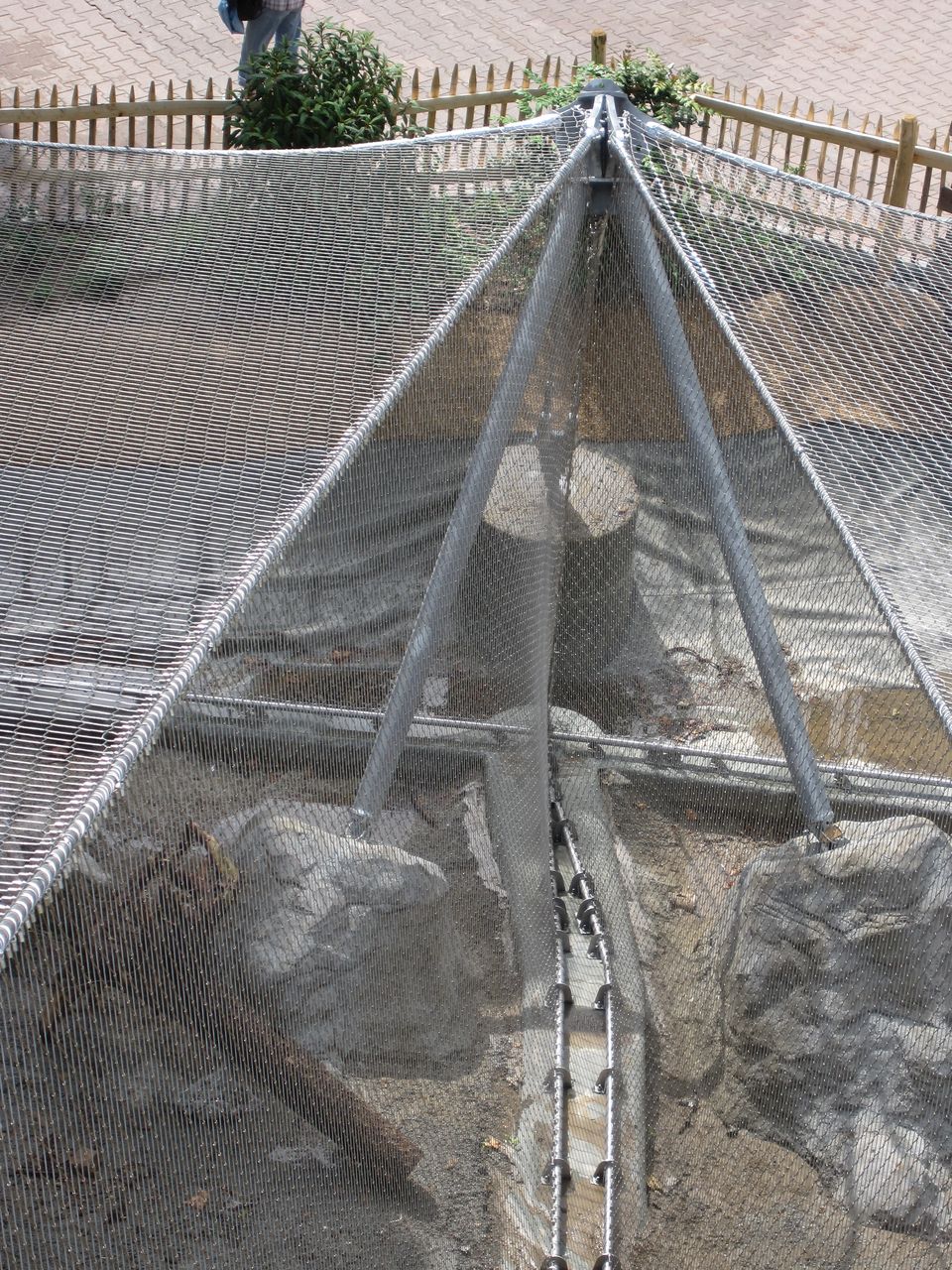 Webnet Zoo - Frankfurt Photo 4