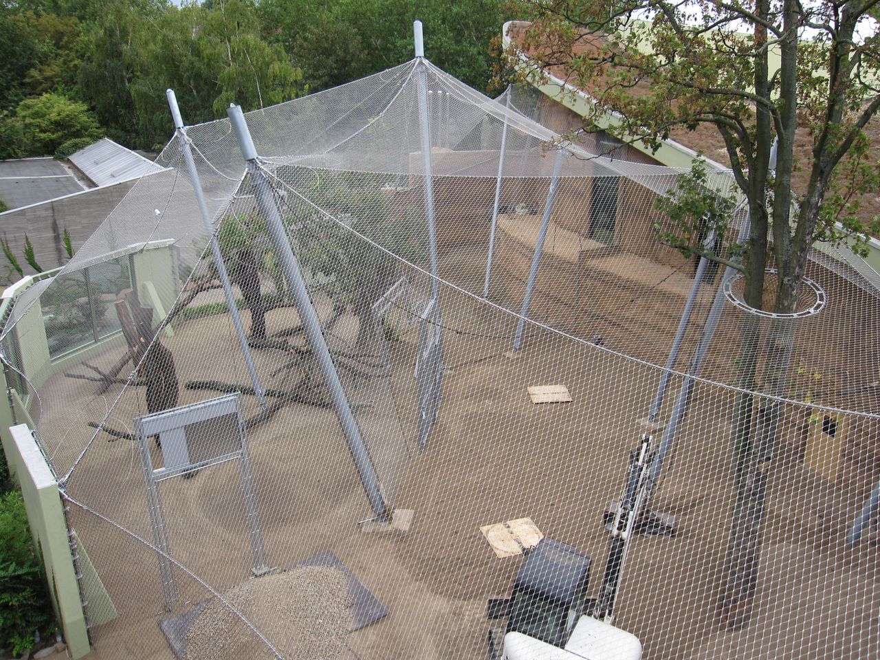 Webnet Zoo - Frankfurt Photo 10