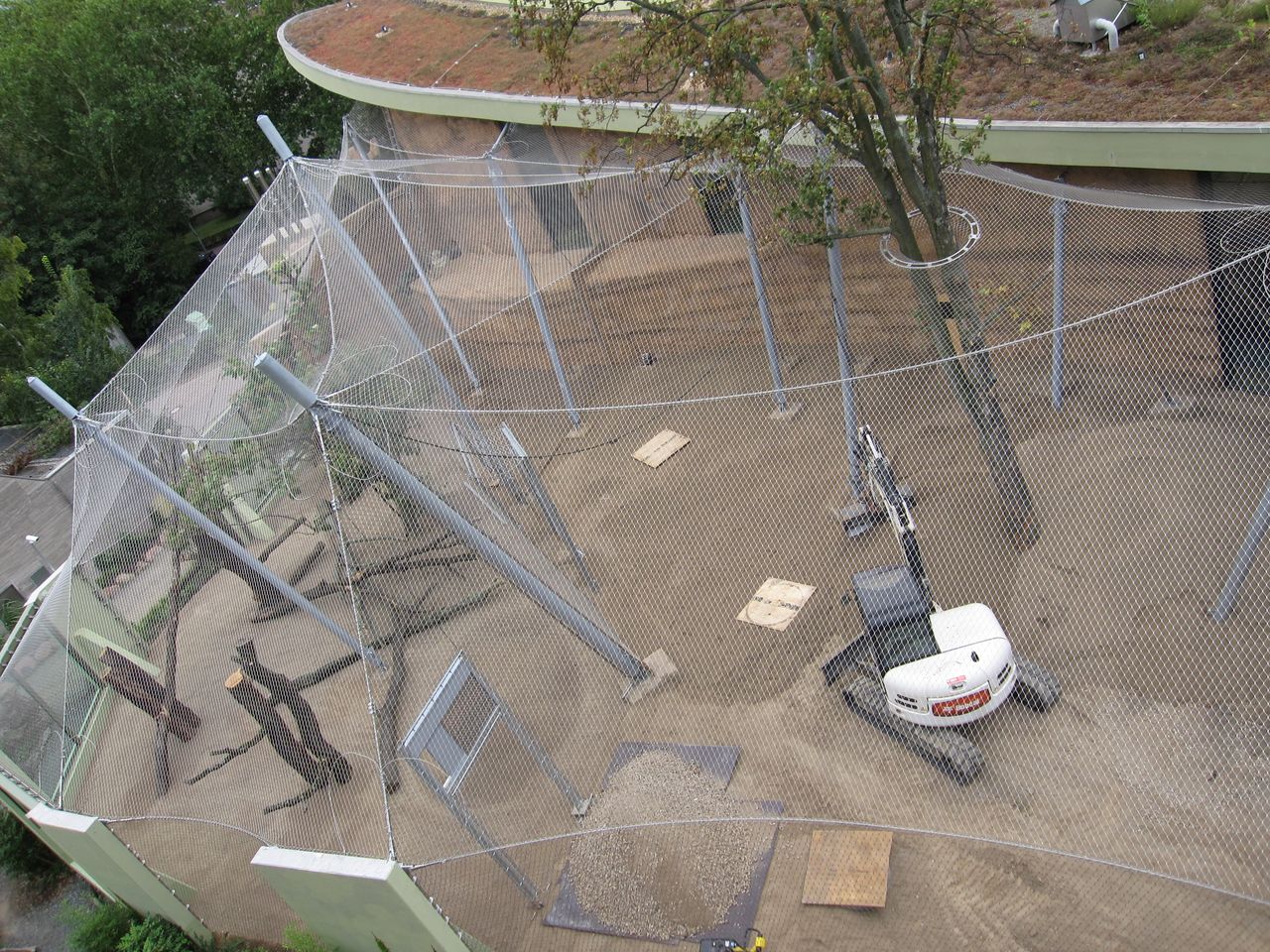 Webnet Zoo - Frankfurt Photo 12