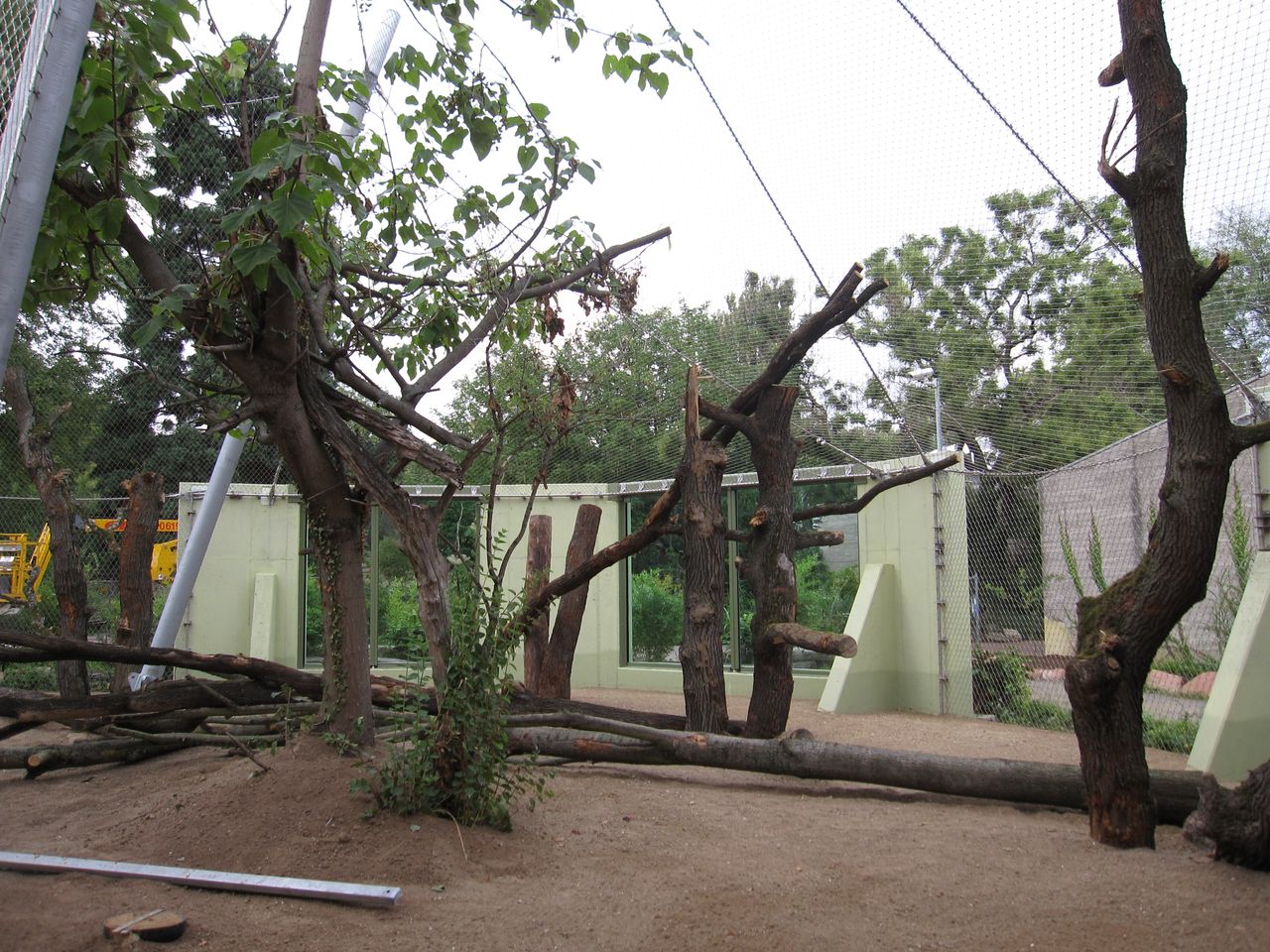 Webnet Zoo - Frankfurt Photo 13