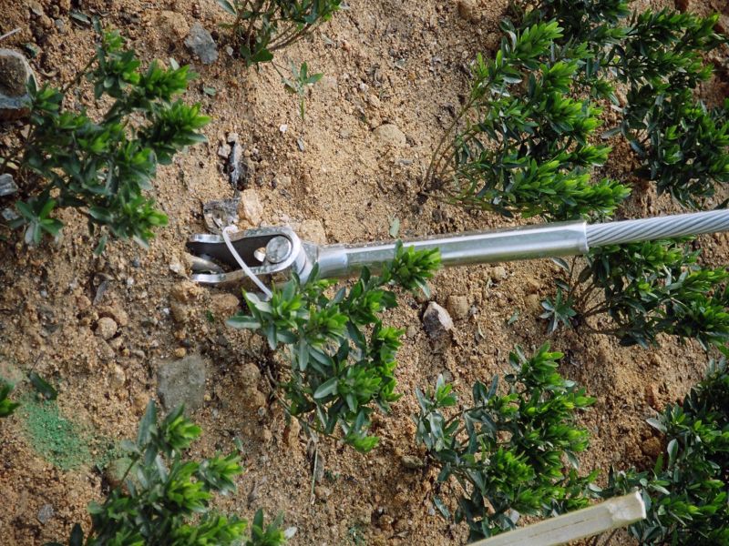 Jakob Tung Chung Park Railway Fence Mesh Photo 12