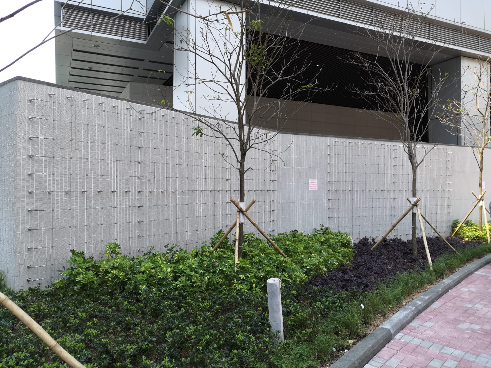 WKGOV Office Yau Ma Tei Green Wall